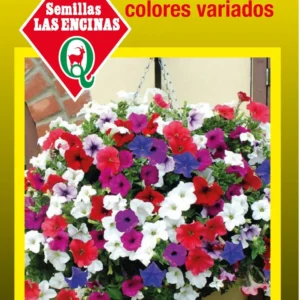 PETUNIA PENDULA