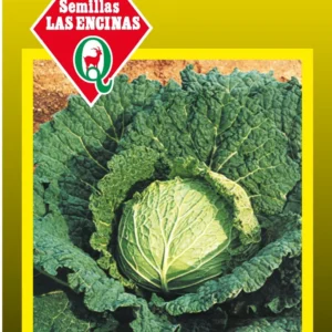 REPOLLO CRESPO MILAN