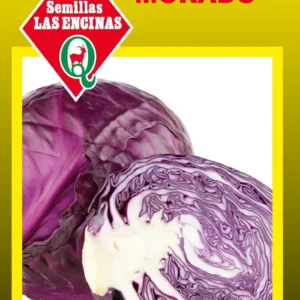 REPOLLO MORADO