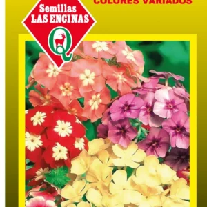 PHLOX COLORES VARIADOS