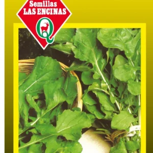 RÚCULA CULTIVADA