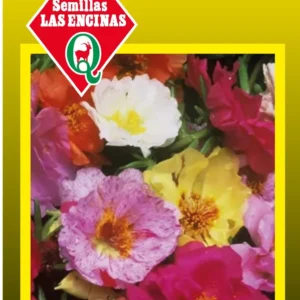 PORTULACA MEZCLA EXTRA