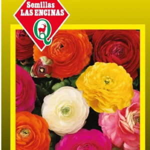 RANUNCULUS VARIADOS DOBLES