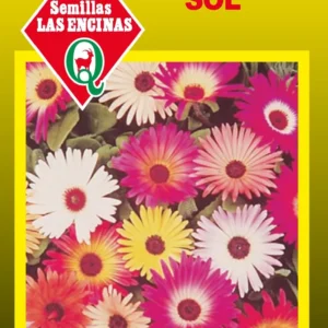 RAYITO DE SOL DOBLE VARIADO