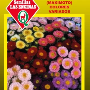 REINA LUISA MATSUMOTO