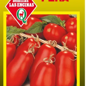 TOMATE PERA