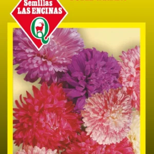 REINA LUISA PLUMA DE AVESTRUZ DOBLE VARIADA