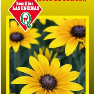 RUDBECKIA (OJOS DE SUSANA)