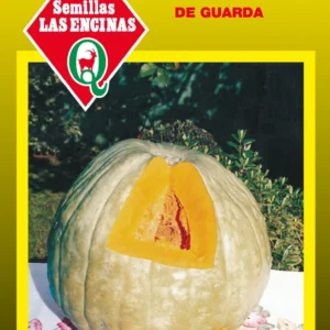 ZAPALLO CAMOTE DE GUARDA