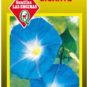 SUSPIRO AZUL GIGANTE