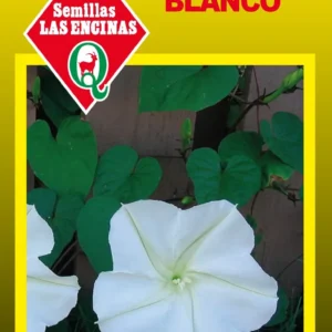 SUSPIRO BLANCO