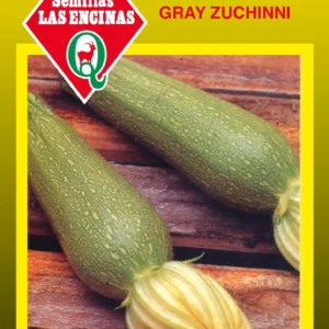 ZAPALLO ITALIANO GRAY ZUCHINNI