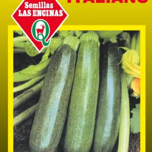 ZAPALLO ITALIANO