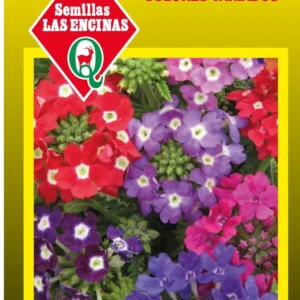 VERBENA DOBLE VARIADA MEZCLA EXTRA