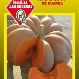 ZAPALLO MUSCAT DE GUARDA