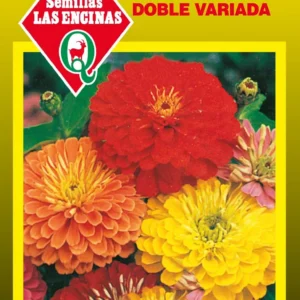 ZINNIA GIGANTE DOBLE VARIADA