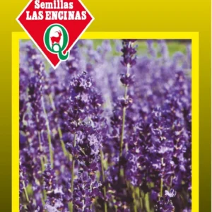 LAVANDA