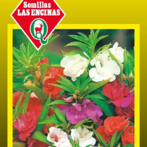 BALSAMINA DOBLE VARIADA