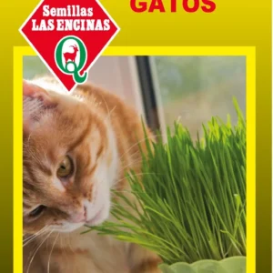 PASTO PARA GATOS