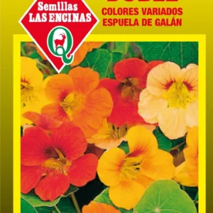 CAPUCHINA DOBLE COLORES VARIADOS