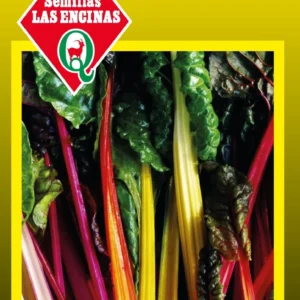 ACELGA MEZCLA DE COLORES