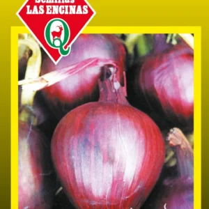 CEBOLLA MORADA DE GUARDA
