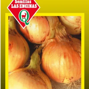 CEBOLLA TEXAS GRANEX 502