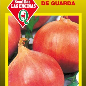 CEBOLLA VALENCIANA DE GUARDA