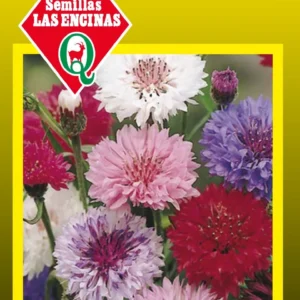 CENTAUREA VARIADA DOBLE