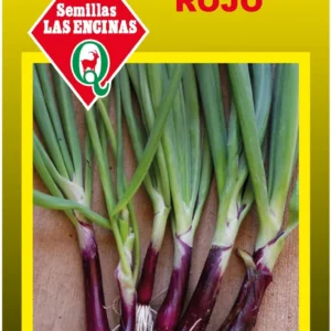 CEBOLLIN ROJO