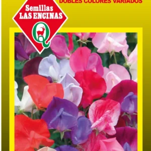 CLARINES DOBLES COLORES VARIADOS