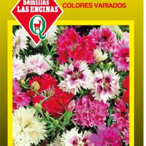 CLAVELINA CHINA DOBLE VARIADA