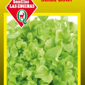 LECHUGA HOJA DE ROBLE Salad Bowl
