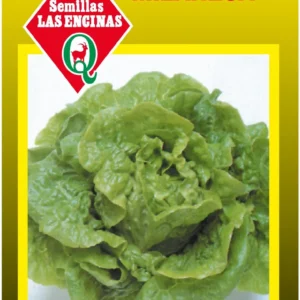 LECHUGA MILANESA