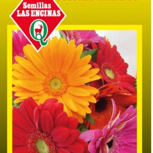 GERBERA COLORES VARIADOS