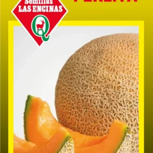 MELON PERLITA