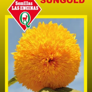 GIRASOL SUNGOLD