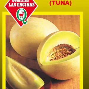 MELON HONEY DEW (TUNA)
