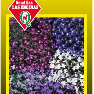 LOBELIA