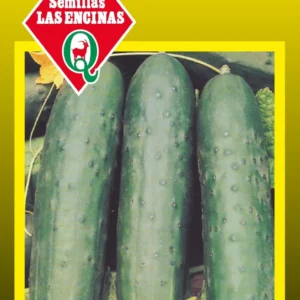 PEPINO MARKETMORE 76