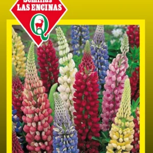 LUPINUS COLORES VARIADOS