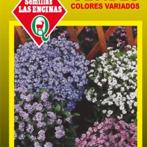 NO ME OLVIDES COLORES VARIADOS