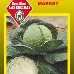 REPOLLO COPENHAGUEN MARKET