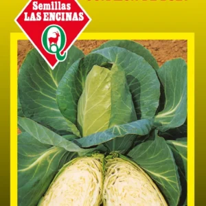 REPOLLO CORAZON DE BUEY